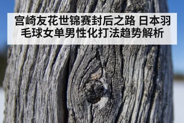 宫崎友花世锦赛封后之路 日本羽毛球女单男性化打法趋势解析